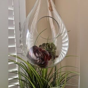 Large Hanging Glass Teardrop Terrarium